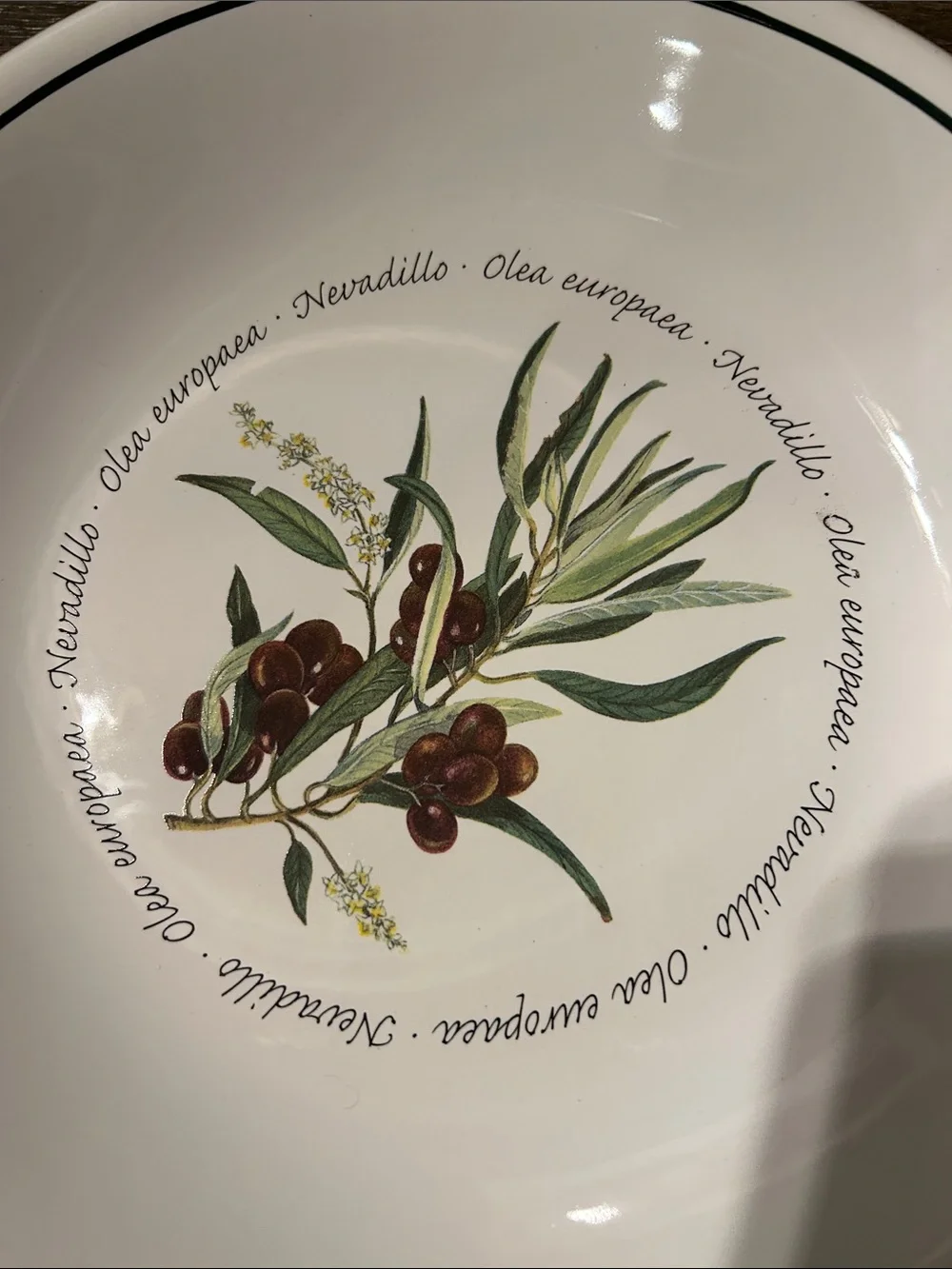 Williams Sonoma olive design serving bowls 9 1/2” set of 4 Olea botanical design